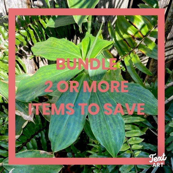 A BUNDLE = 2 or more items - Picture 5 of 16